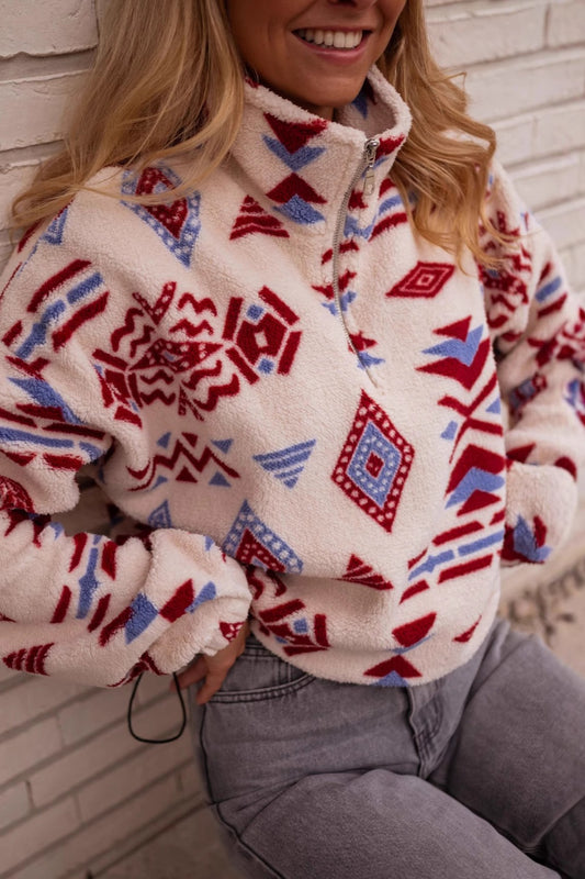 Turtle Colorblock Print Thick Sweatshirt