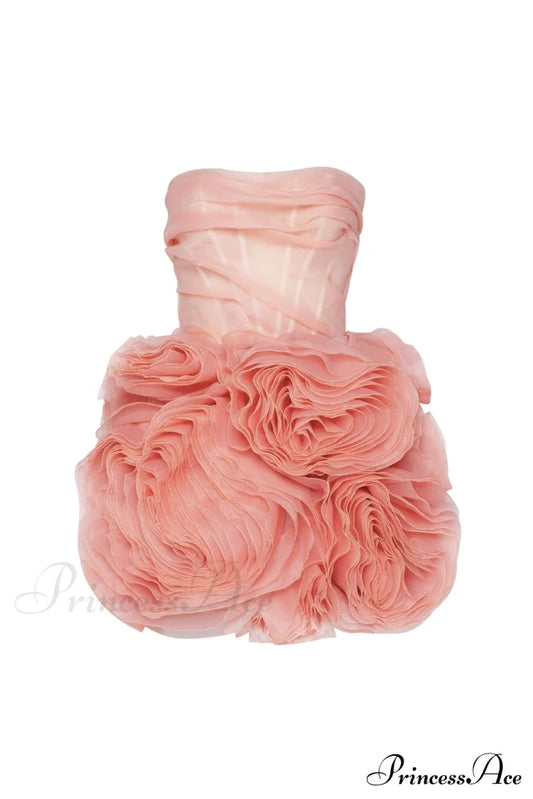 Appliqud Organza Stylish Coral Mini Dress