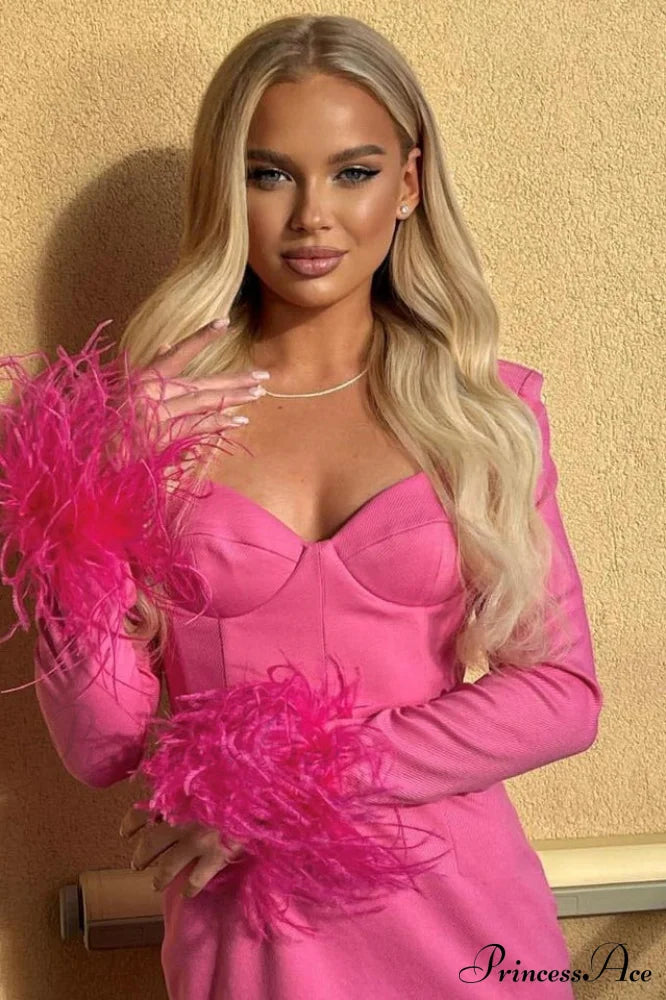 Feather Long Stylish Sleeve Bustier Dress